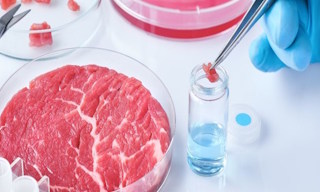Лабораторный анализ пищевых продуктов по СанПиН в Дагестанских Огнях в октябре