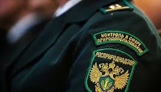 Подготовка к проверке Росприроднадзора в Дагестанских Огнях от ПромМир-Дгс, стоимость услуги от 20646 руб.